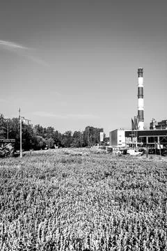 Landscape monochrome Stock Photos