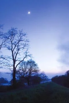 Landscape with moon Stock Photos