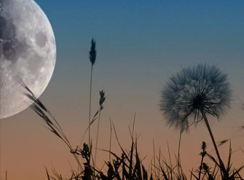 Landscape with the moon 写真素材