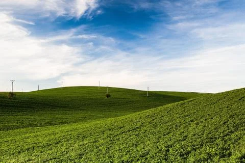 Landscape in Moravia 库存照片