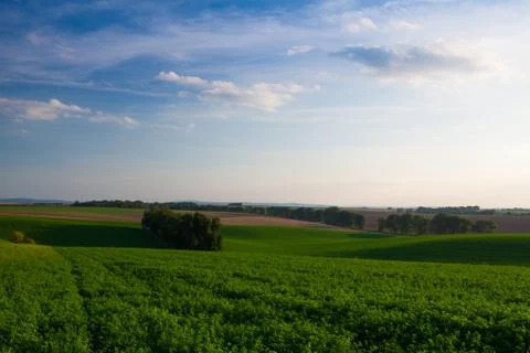 Landscape in Moravia at sunset 库存照片