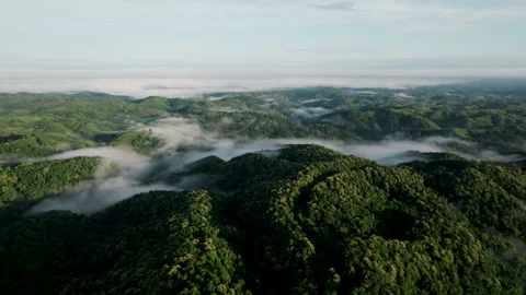 Landscape of Morning Mist with Mountain Layer. Stock Footage 317367178