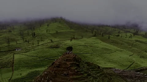 Landscape morning in the mountains Stock Footage 201173142