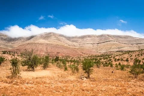 Landscape of Morocco Stock Photos
