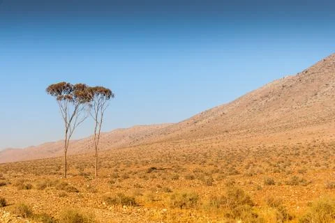 Landscape of Morocco Stock Photos