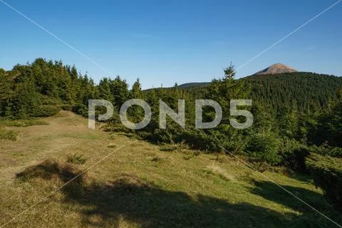 Landscape of Mount Hoverla is the highest mountain of the Ukrainian Carpathian Stock Photos