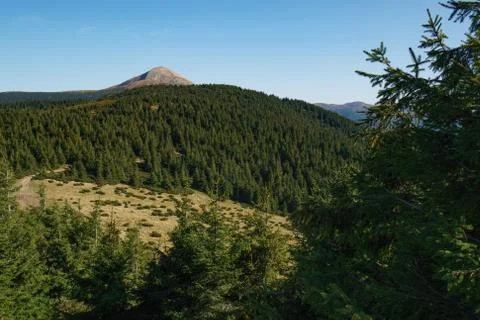 Landscape of Mount Hoverla is the highest mountain of the Ukrainian Carpathian Foto stock