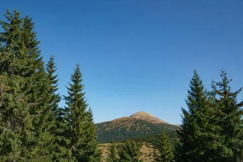 Landscape of Mount Hoverla is the highest mountain of the Ukrainian Carpathian Stock Photos