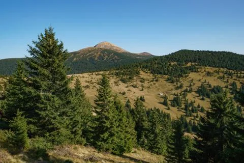 Landscape of Mount Hoverla is the highest mountain of the Ukrainian Carpathian Stock Photos