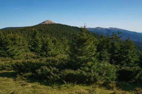 Landscape of Mount Hoverla is the highest mountain of the Ukrainian Carpathian Stock Photos