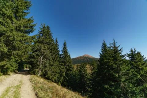Landscape of Mount Hoverla is the highest mountain of the Ukrainian Carpathian Stock Photos