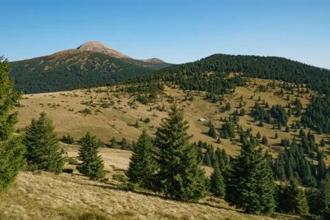 Landscape of Mount Hoverla is the highest mountain of the Ukrainian Carpathian Stock Photos