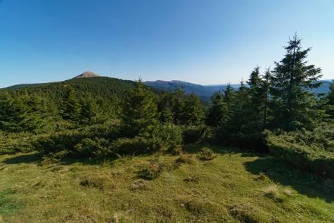 Landscape of Mount Hoverla is the highest mountain of the Ukrainian Carpathian Stock Photos