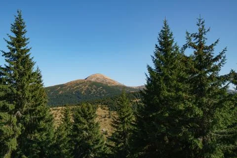 Landscape of Mount Hoverla is the highest mountain of the Ukrainian Carpathian Stock Photos
