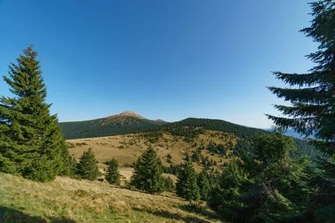 Landscape of Mount Hoverla is the highest mountain of the Ukrainian Carpathian Foto stock