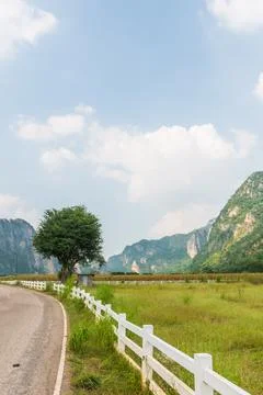 Landscape of mountain and a tree Stock Photos