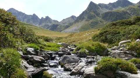 Landscape of a mountain creek, on the Pyrenees of Andorra. Stock Footage