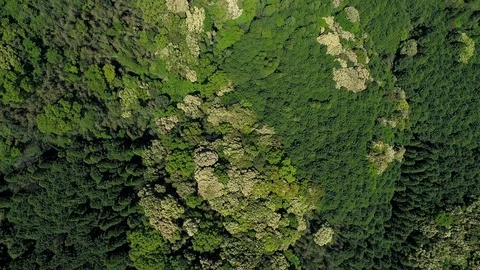 Landscape of the mountain, directly above Stock-Footage 84669218