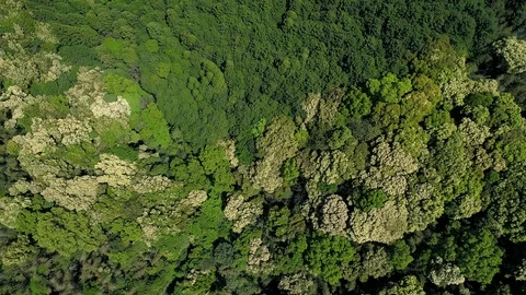 Landscape of the mountain, directly above Stock Footage 86111822