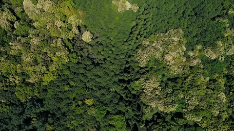 Landscape of the mountain, directly above Stock Footage 88159635