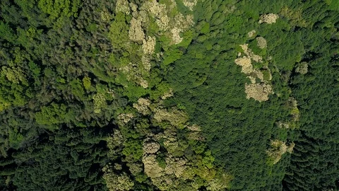 Landscape of the mountain, directly above Stock Footage 92053500