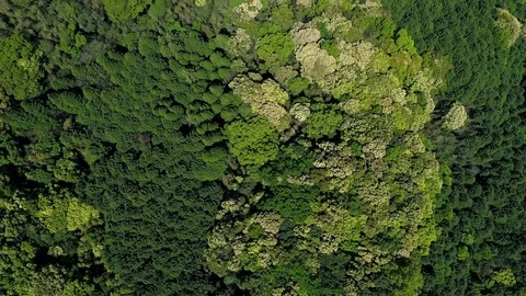 Landscape of mountain Stock Footage 81243644