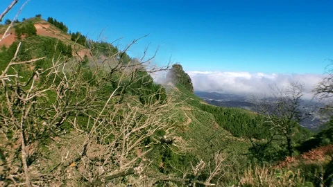 Landscape with mountain Stock Footage 101789993