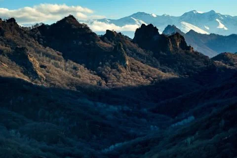 Landscape with mountain forest. Bare trees and no snow in North Caucasus region Stock-Fotos