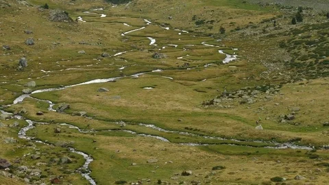 Landscape of a mountain meadow. Vídeos de archivo 83615454