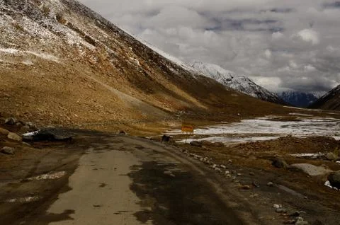 Landscape mountain Stock Photos