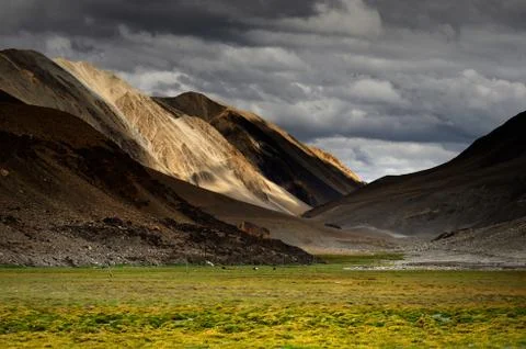 Landscape mountain Foto stock