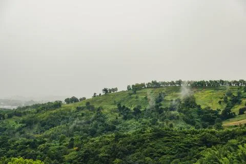 Landscape on mountain Foto stock