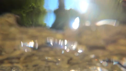 Landscape mountain river, mountains, forest, stones and blue sky Stock Footage 141311278