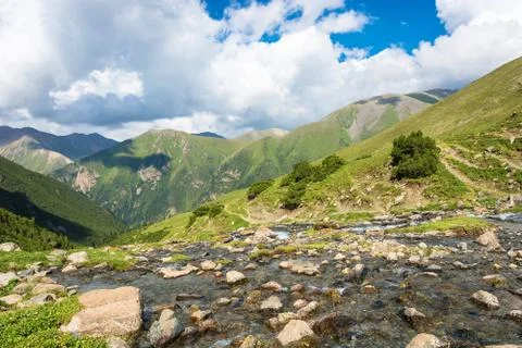 Landscape with mountain river. Stock Photos