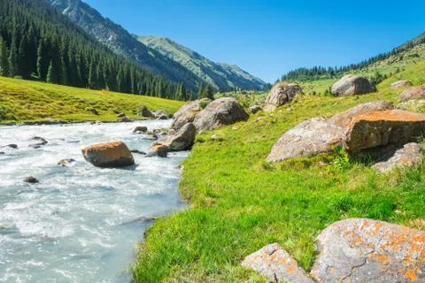 Landscape with mountain river. Stock Photos