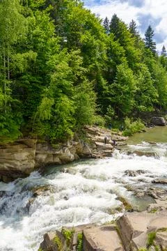 Landscape with mountain river running through forest on a summer day Stock Photos