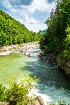 Landscape with mountain river running through forest in summer Photos