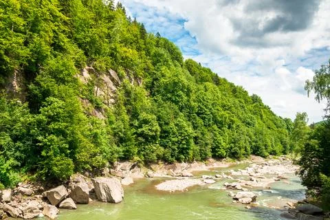 Landscape with mountain river running through forest in summer 库存照片