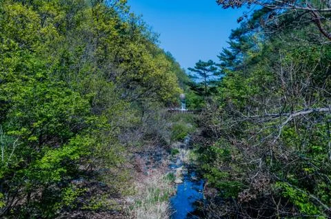 Landscape of mountain stream Stock Photos