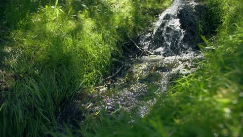 Landscape mountain stream waterfall flowing over rocks through green plants in Stock Footage 133689568