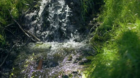 Landscape mountain stream waterfall flowing over rocks through green plants in Stock Footage 133690058