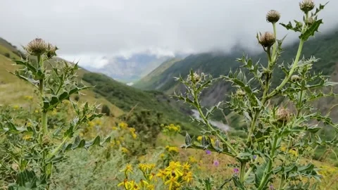 Landscape of a mountain valley in the Caucasus Stock Footage 174851124