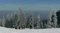 Landscape in the Mountains Alpine Many People Skiers Enjoy Skiing Mountain Slope HD Footage