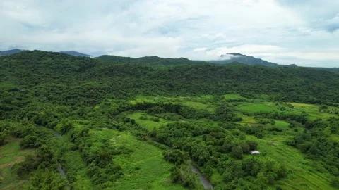 Landscape Mountains and Field Stock Footage 162084401