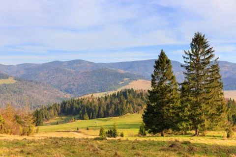 Landscape with mountains and trees 写真素材