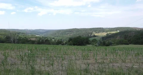 Landscape with mountains and valleys Stock Footage 269497213