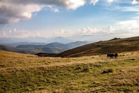 Landscape in the mountains of the Caucasus Stock Photos