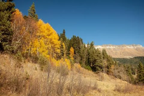 Landscape in the mountains of the Caucasus Stock Photos