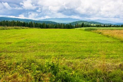 Landscape in mountains with distant forest behind the green field Stock Photos