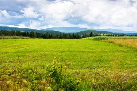 Landscape in mountains with distant forest behind the green field Stock Photos